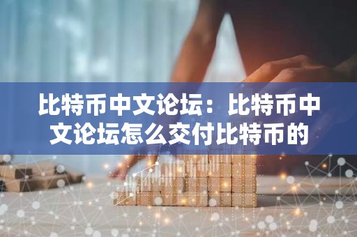 比特币中文论坛：比特币中文论坛怎么交付比特币的