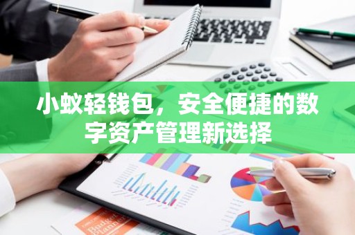 小蚁轻钱包，安全便捷的数字资产管理新选择