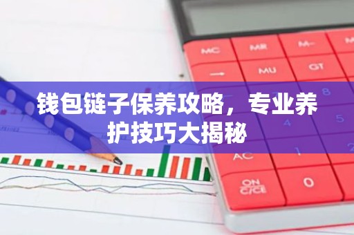 钱包链子保养攻略，专业养护技巧大揭秘