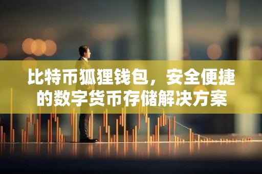比特币狐狸钱包，安全便捷的数字货币存储解决方案
