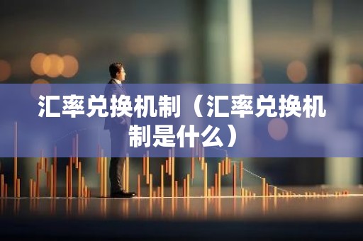 汇率兑换机制（汇率兑换机制是什么）