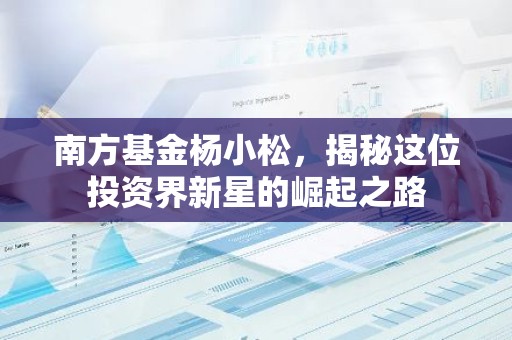 南方基金杨小松，揭秘这位投资界新星的崛起之路