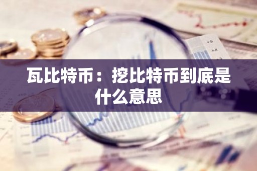 瓦比特币：挖比特币到底是什么意思