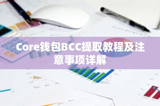 Core钱包BCC提取教程及注意事项详解