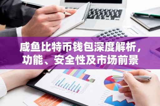 咸鱼比特币钱包深度解析，功能、安全性及市场前景