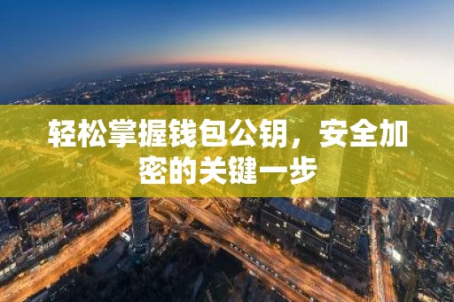 轻松掌握钱包公钥，安全加密的关键一步