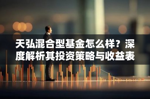 天弘混合型基金怎么样？深度解析其投资策略与收益表现