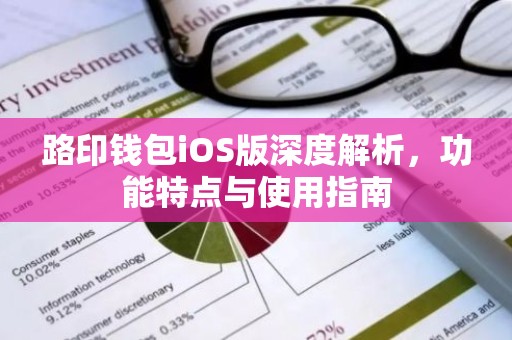 路印钱包iOS版深度解析，功能特点与使用指南