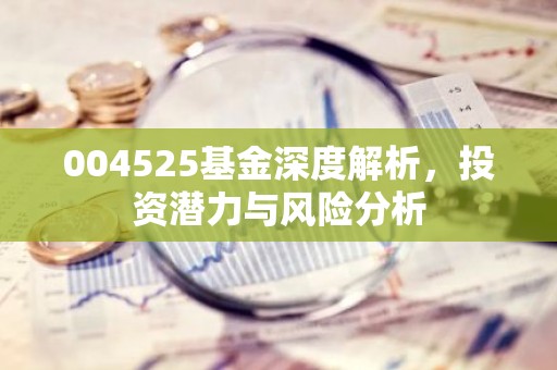 004525基金深度解析，投资潜力与风险分析