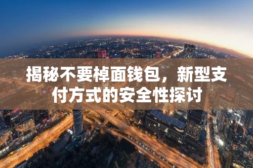 揭秘不要棹面钱包，新型支付方式的安全性探讨