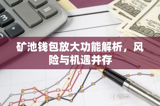 矿池钱包放大功能解析，风险与机遇并存