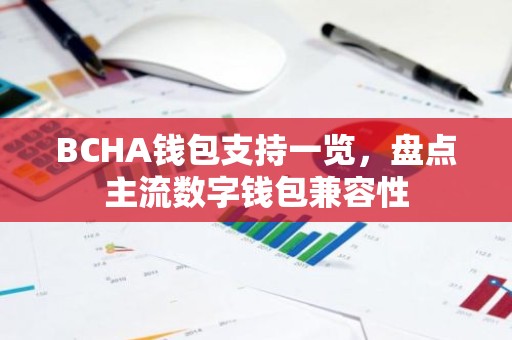BCHA钱包支持一览，盘点主流数字钱包兼容性