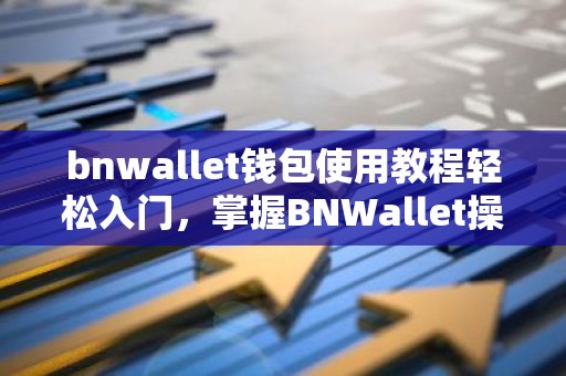bnwallet钱包使用教程轻松入门，掌握BNWallet操作步骤