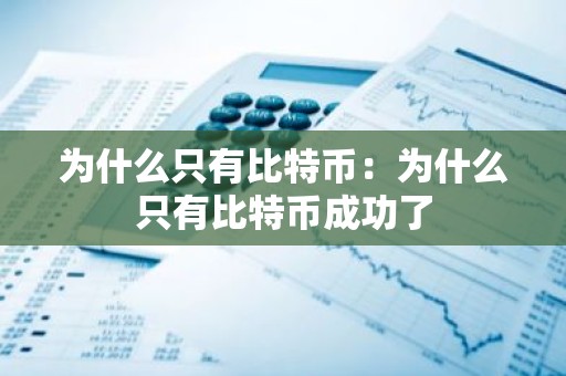 为什么只有比特币：为什么只有比特币成功了