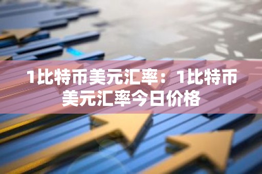 1比特币美元汇率：1比特币美元汇率今日价格