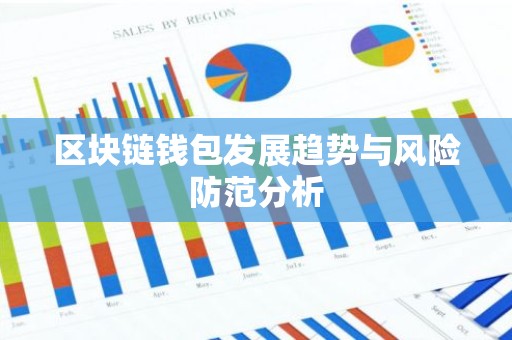 区块链钱包发展趋势与风险防范分析