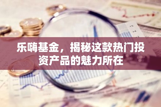 乐嗨基金，揭秘这款热门投资产品的魅力所在