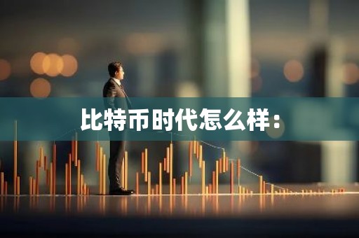 比特币时代怎么样：