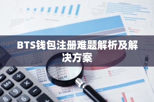 BTS钱包注册难题解析及解决方案
