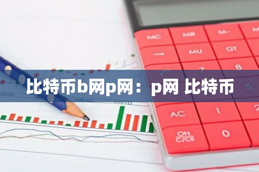 比特币b网p网：p网 比特币
