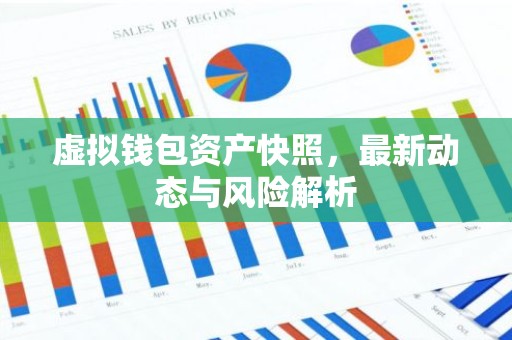 虚拟钱包资产快照，最新动态与风险解析