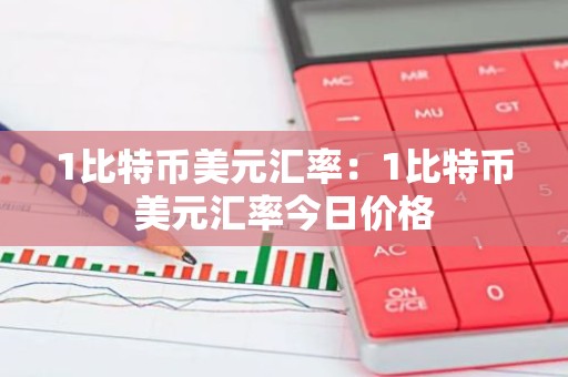1比特币美元汇率：1比特币美元汇率今日价格