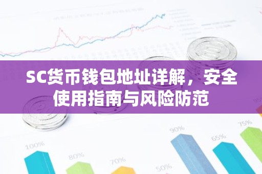 SC货币钱包地址详解，安全使用指南与风险防范