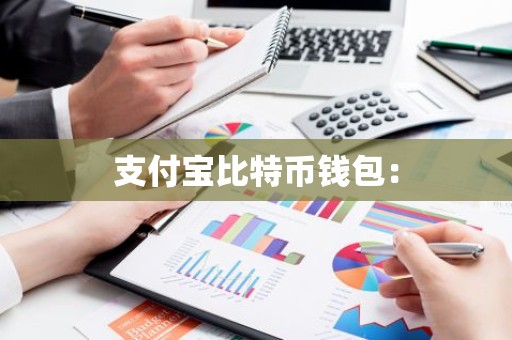 支付宝比特币钱包：