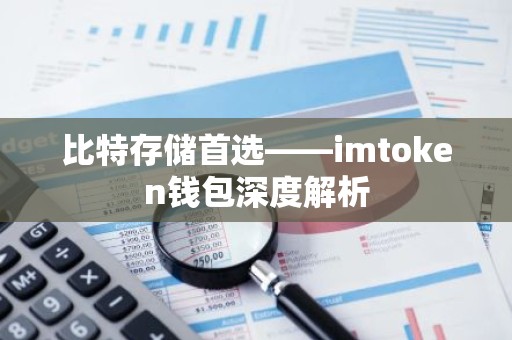 比特存储首选——imtoken钱包深度解析
