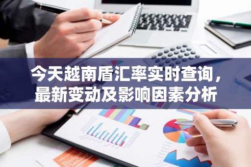 今天越南盾汇率实时查询，最新变动及影响因素分析