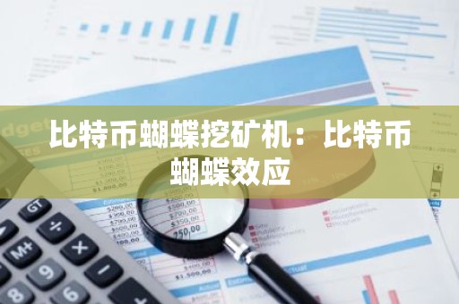 比特币蝴蝶挖矿机：比特币蝴蝶效应