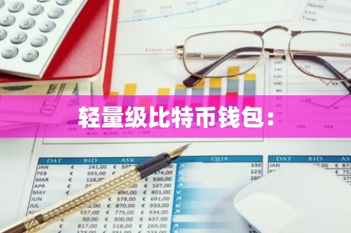 轻量级比特币钱包：