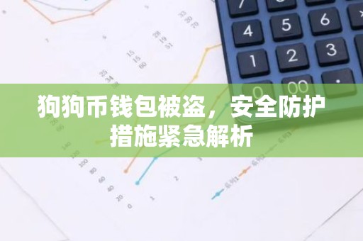 狗狗币钱包被盗，安全防护措施紧急解析