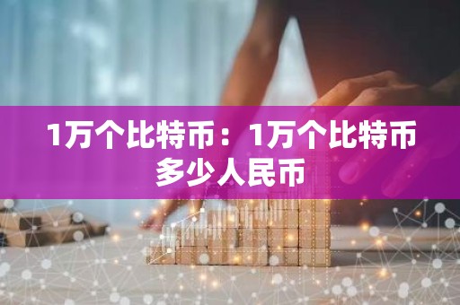1万个比特币：1万个比特币多少人民币
