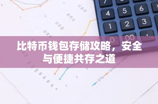 比特币钱包存储攻略，安全与便捷共存之道
