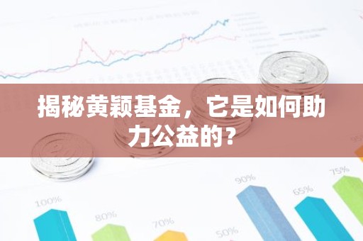 揭秘黄颖基金，它是如何助力公益的？