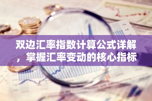 双边汇率指数计算公式详解，掌握汇率变动的核心指标