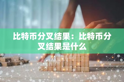比特币分叉结果：比特币分叉结果是什么