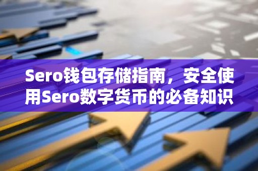 Sero钱包存储指南，安全使用Sero数字货币的必备知识