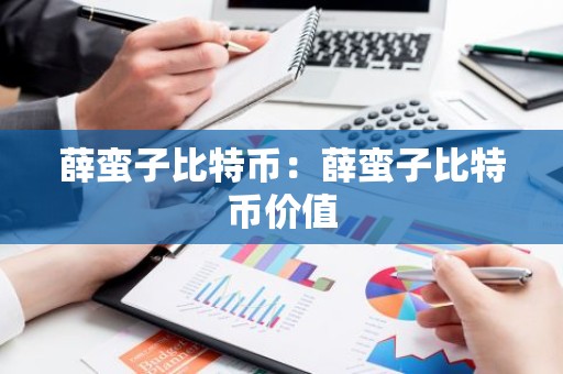 薛蛮子比特币：薛蛮子比特币价值
