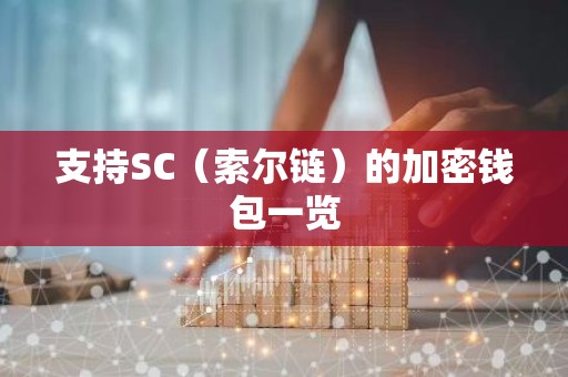 支持SC（索尔链）的加密钱包一览