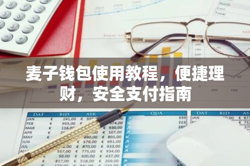 麦子钱包使用教程，便捷理财，安全支付指南