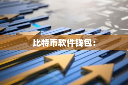 比特币软件钱包：
