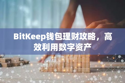 BitKeep钱包理财攻略，高效利用数字资产