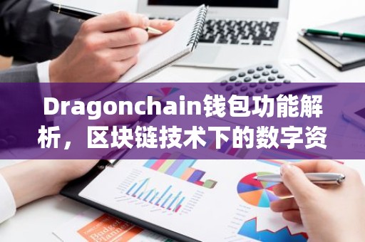 Dragonchain钱包功能解析，区块链技术下的数字资产管理