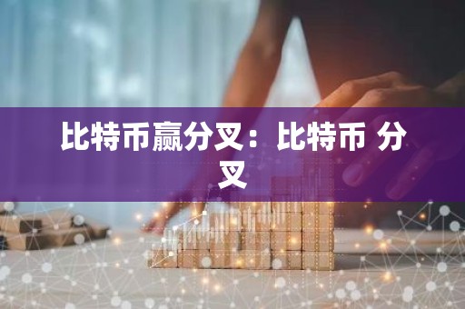 比特币赢分叉：比特币 分叉