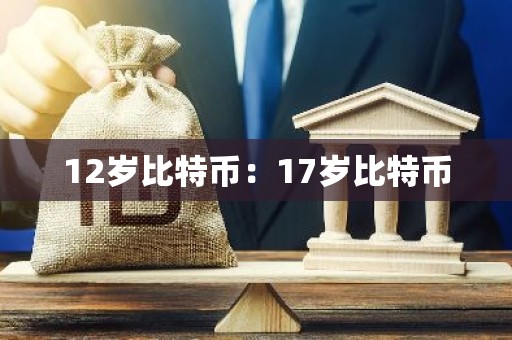 12岁比特币：17岁比特币