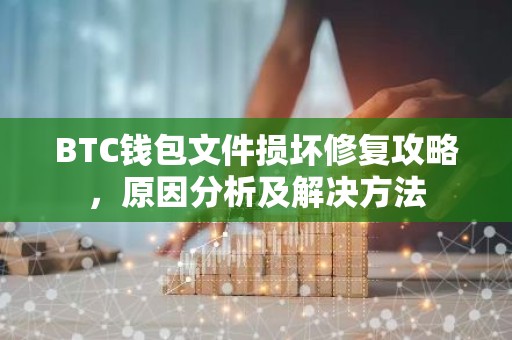 BTC钱包文件损坏修复攻略，原因分析及解决方法