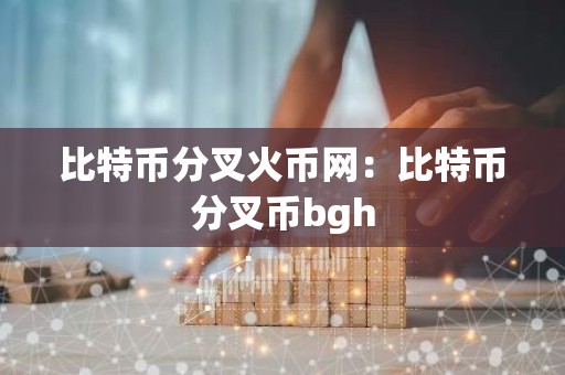 比特币分叉火币网：比特币分叉币bgh