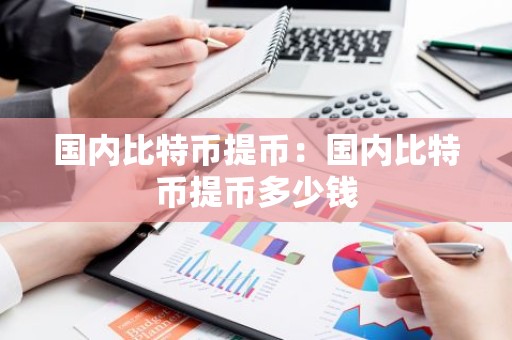 国内比特币提币：国内比特币提币多少钱